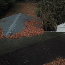 Roof Cleaning Dellwood Dr Northwest, Atlanta, GA 6